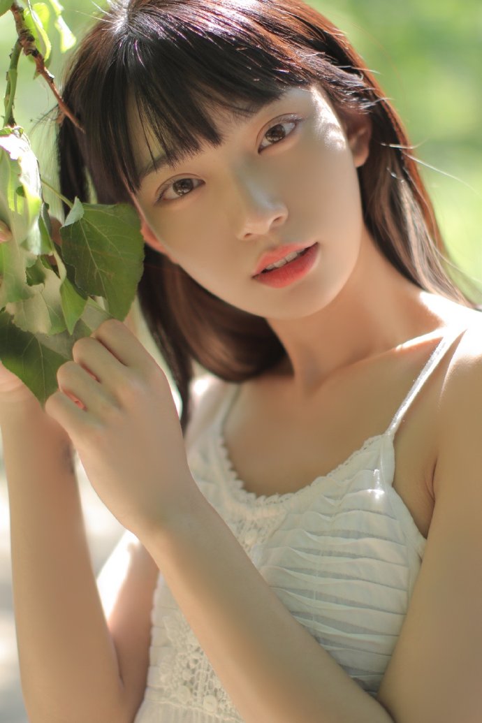 肖申克的救赎 封面